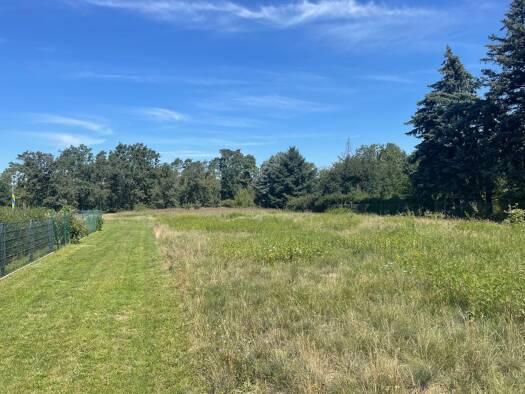 Grundstück zum Kauf provisionsfrei 78.012 € 788 m² Grundstück frei ab sofort Kahren Cottbus 03051