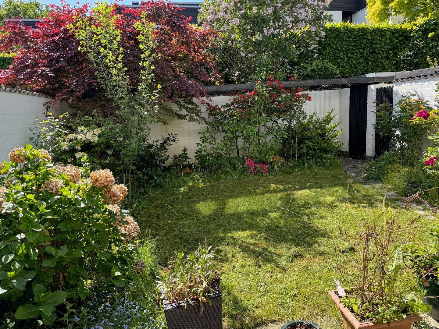 Property thumbnail 14