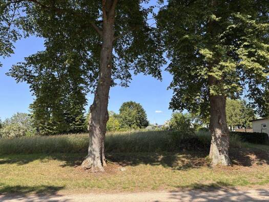 Grundstück zum Kauf provisionsfrei 69.000 € 2.030 m² Grundstück Badow 19209