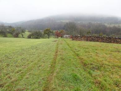 Landwirtschaftliche Fläche zum Kauf 24.000 € 5.656 m² 5.656 m² Grundstück Am Dreispitz Reistenhausen Collenberg 97903