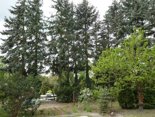 Grundstück zum Kauf 130.000 € 825 m² Grundstück Glienicker Straße 56 Dabendorf Zossen 15806