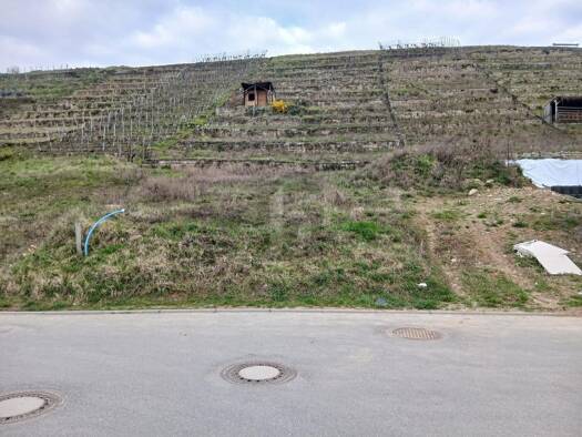 Grundstück zum Kauf 190.000 € 400 m² Grundstück Walheim 74399