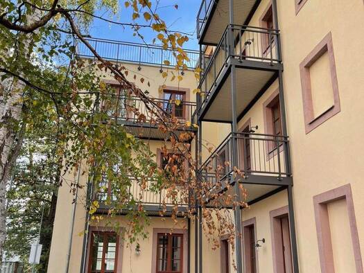 Wohnung zur Miete 497 € 2 Zimmer 55,2 m² EG frei ab sofort Limbacher Str. 54 Kaßberg Chemnitz 09113