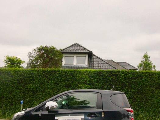 Einfamilienhaus zum Kauf 1.299.000 € 8 Zimmer 315 m² 1.161 m² Grundstück frei ab sofort Rellingen 25462