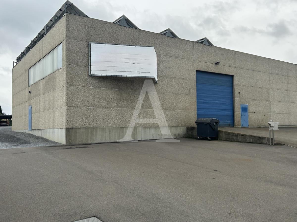 Halle/Industriefläche zur Miete 2.300 m²<br/>Lagerfläche ab 2.300 m²<br/>Teilbarkeit Rath Nörvenich 52388