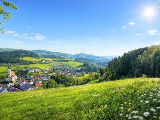 Grundstück zum Kauf 184.900 € 1.044 m² Grundstück Reichenau im Mühlkreis 4204