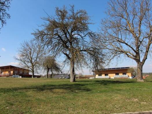 Grundstück zum Kauf 540 m² Grundstück Baugenehmigung vorhanden frei ab sofort Landau Landau an der Isar 94405