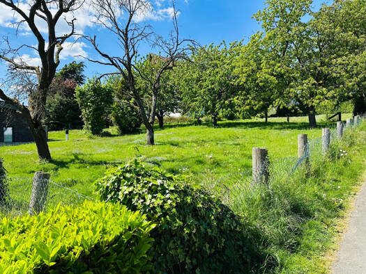 Grundstück zum Kauf 80.000 € 461 m² Grundstück Oberbauerschaft Hüllhorst 32609