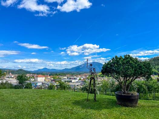 Schloss zum Kauf 7.950.000 € 950 m² 206.745 m² Grundstück Völkermarkt 9100