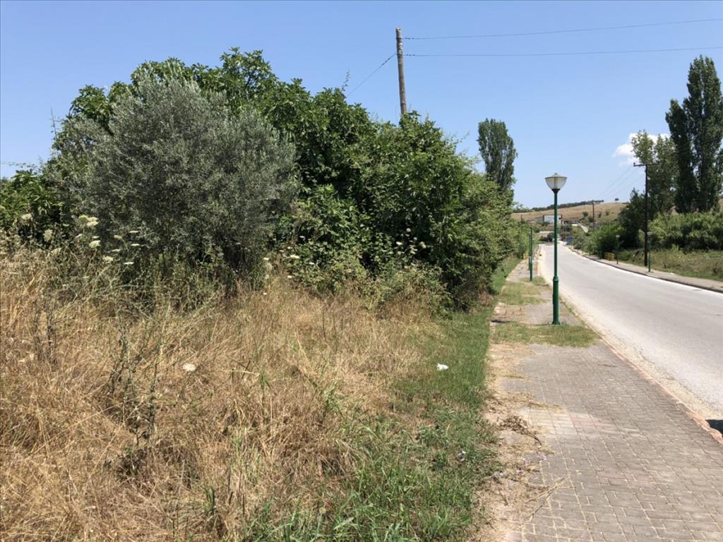 Land-/Forstwirtschaft zum Kauf 75.000 € 1.800 m²<br/>Grundstück Chalkidiki