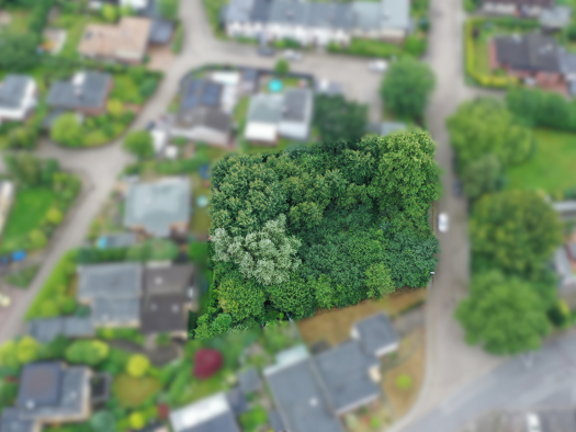 Grundstück zum Kauf 346.900 € 765,7 m² Grundstück Baugenehmigung vorhanden Buxtehude 21614