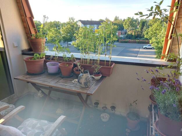 Wohnung zur Miete 900 € 2 Zimmer 70 m² 1. Geschoss frei ab 01.08.2026 Schönow Bernau 16321