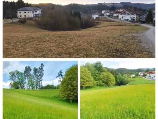 Grundstück zum Kauf 69.000 € 975 m² Grundstück Tragwein 4284