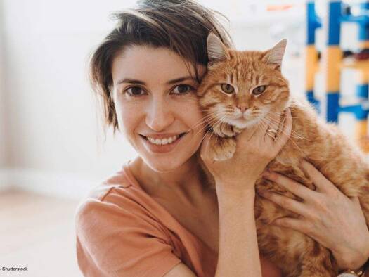 Wohnung zum Kauf provisionsfrei 349.000 € 3 Zimmer 87 m² frei ab sofort Mahlsdorf Berlin 12623