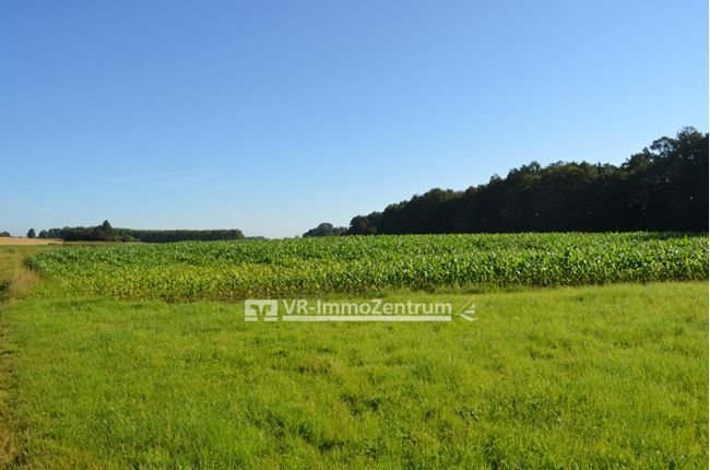 Land-/Forstwirtschaft zum Kauf 120.000 € 13.182 m²<br/>Grundstück Beuerbach Beuerbach 86947