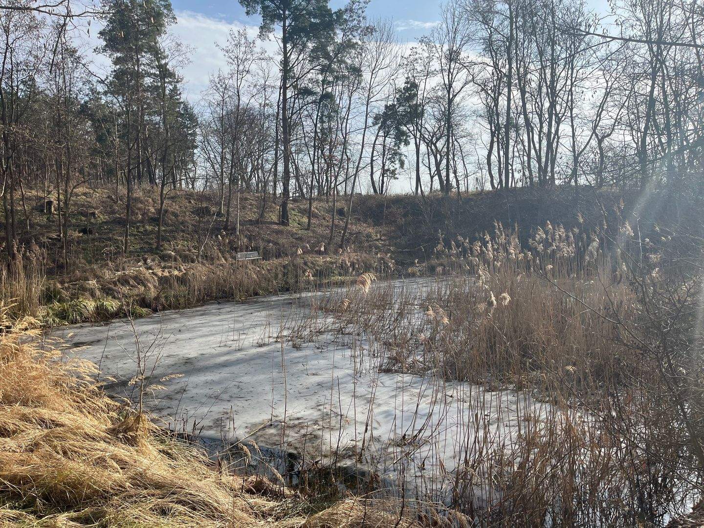 Immobilie in Lübbow - Absolute Alleinlagegrundstück in Lübbow mit kleinem See - Bild 4