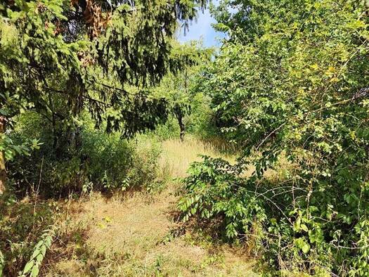 Land-/Forstwirtschaft zum Kauf 42.500 € 1.432 m² Grundstück Plötzin Werder (Havel) 14542