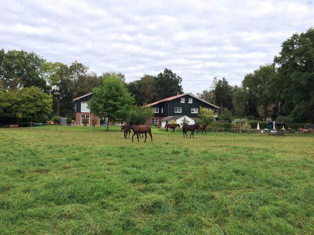 Terrassenwohnung zur Miete 1.349 € 4 Zimmer 140 m² EG frei ab 01.04.2026 Liether Moor 9 Klein Nordende 25336