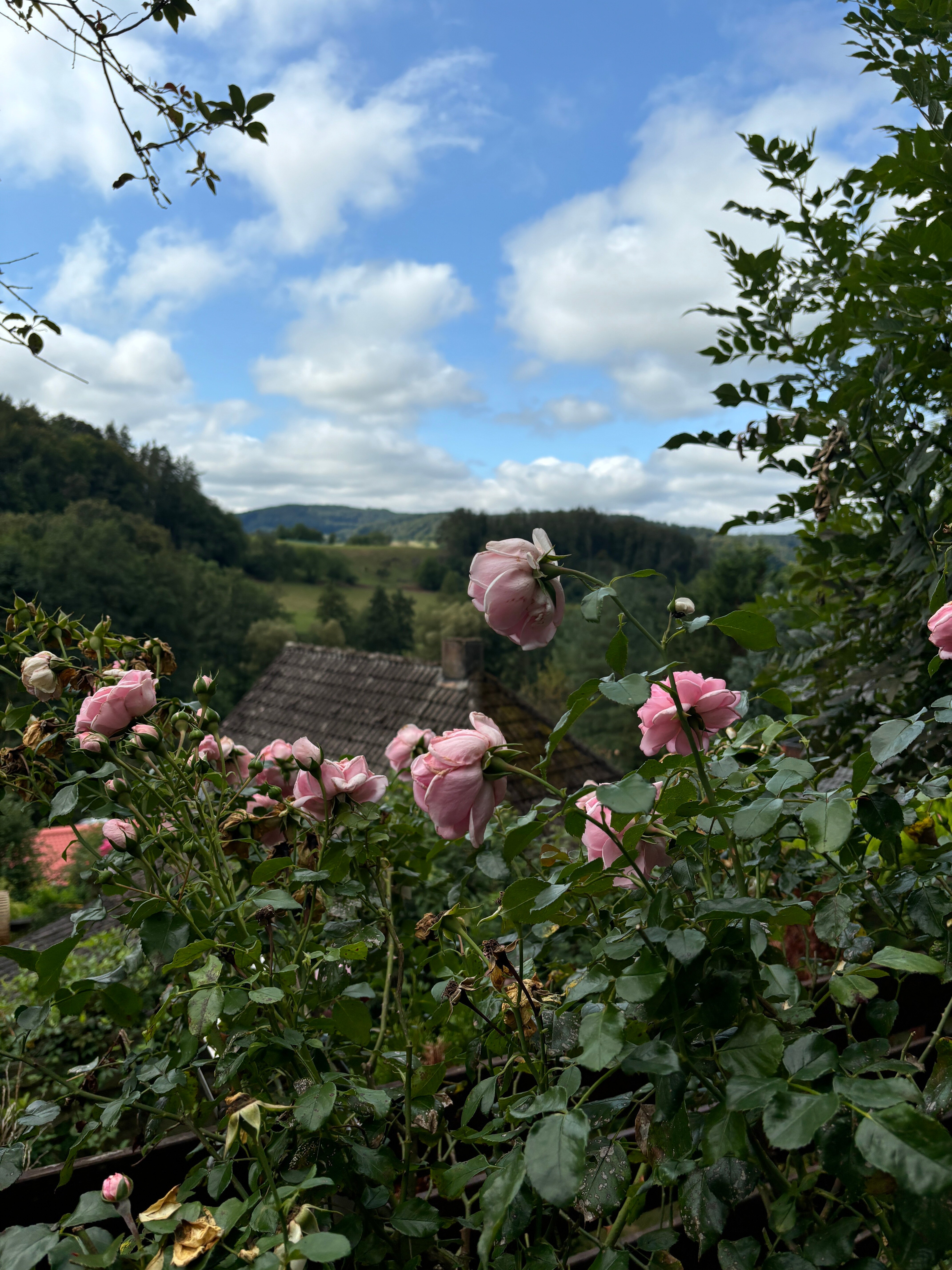 Einfamilienhaus zum Kauf 248.000 € 4 Zimmer 75 m²<br/>Wohnfläche 300 m²<br/>Grundstück Unter-Ostern Reichelsheim (Odenwald) 64385