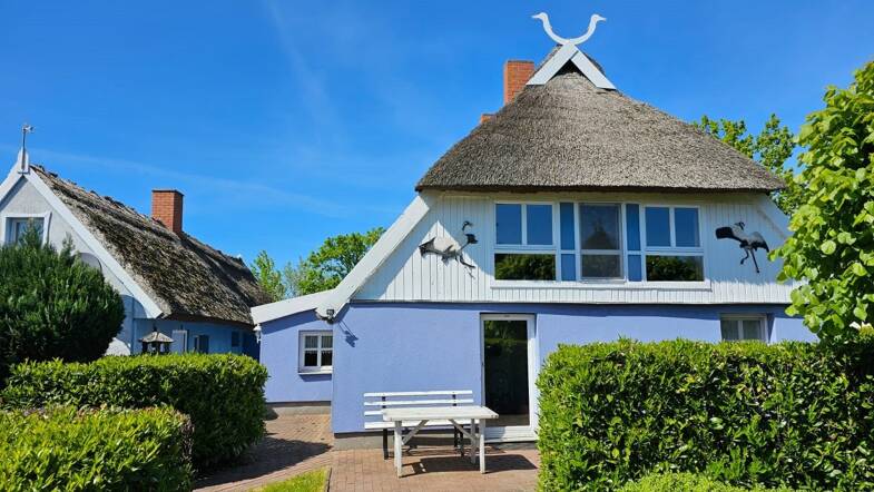 Einfamilienhaus zum Kauf 490.000 € 4 Zimmer 140 m² 1.509 m² Grundstück Pruchten Pruchten 18356