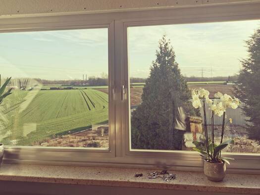 Wohnung zur Miete 1.300 € 3 Zimmer 85 m² Geschoss 1/2 frei ab 01.02.2026 Habbelrath Frechen 50226