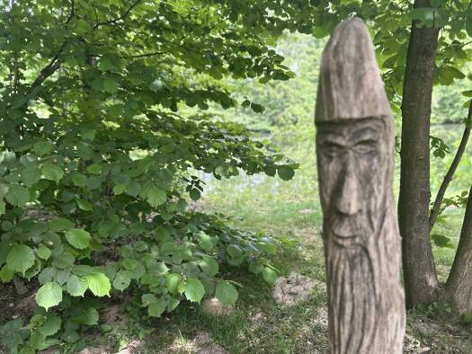 Haus zum Kauf 59.840 € 1,5 Zimmer 58,2 m² 570 m² Grundstück frei ab sofort Merfeld Dülmen 48249