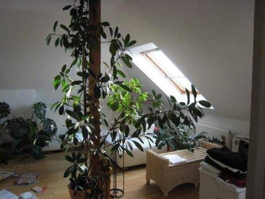 Maisonette zum Kauf 99.000 € 2 Zimmer 41 m² 4. Geschoss Pieschen-Nord/Trachenberge Dresden 01129