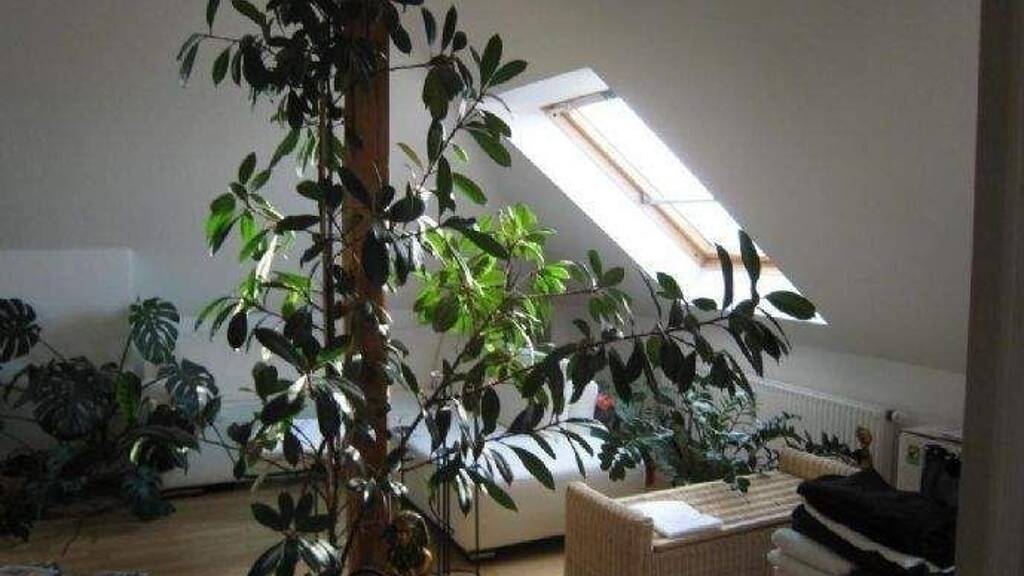 Maisonette zum Kauf 99.000 € 2 Zimmer 41 m² 4. Geschoss Pieschen-Nord/Trachenberge Dresden 01129