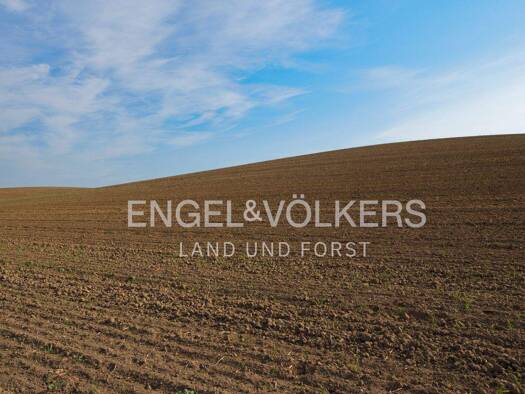 Land-/Forstwirtschaft zum Kauf als Kapitalanlage geeignet 5.000.000 m² Oranienburg 16515