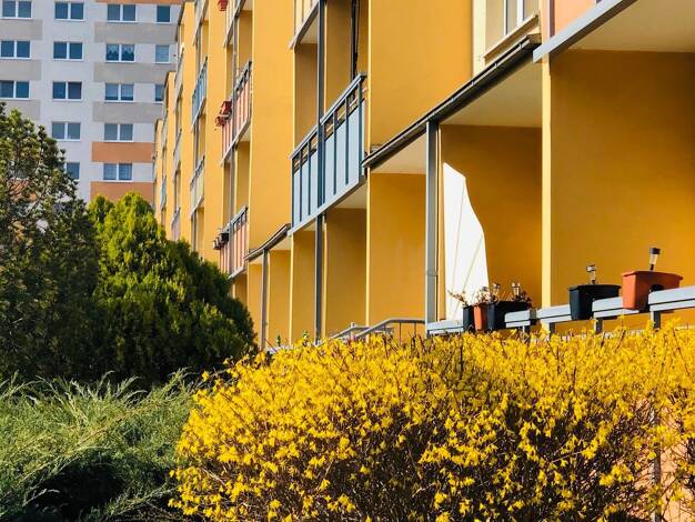 Wohnung zur Miete 335 € 3 Zimmer 53,4 m² EG Rigaer Straße 17 Südstadt Halle (Saale) 06128