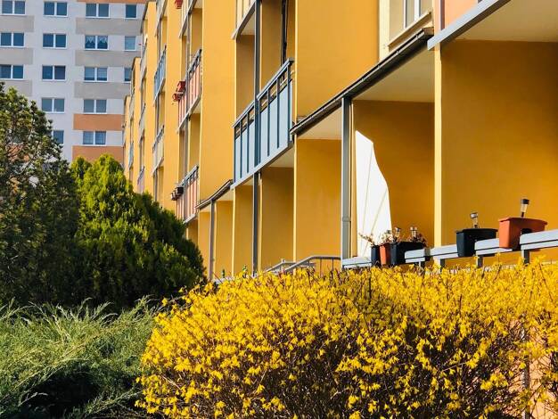 Wohnung zur Miete 335 € 3 Zimmer 53,4 m² EG Rigaer Straße 17 Südstadt Halle (Saale) 06128