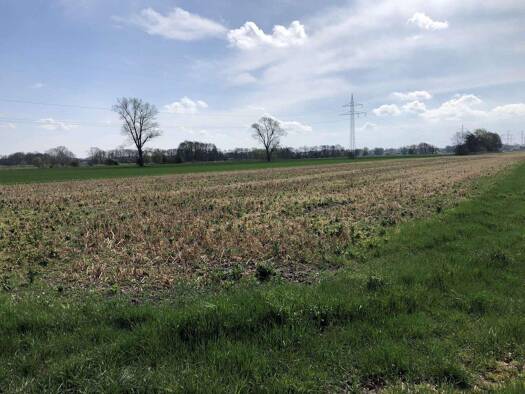 Land-/Forstwirtschaft zum Kauf 99.280 € 24.214 m² Grundstück Langwedel Langwedel-Holtebüttel 27299