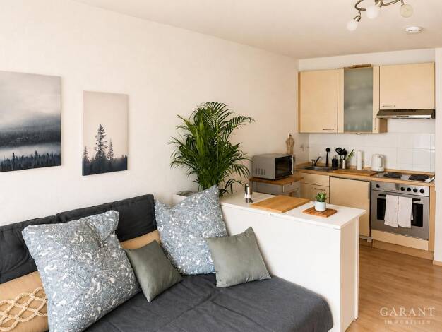 Studio zum Kauf 120.000 € 1 Zimmer 28 m² 1. Geschoss Au-Haidhausen München 81669