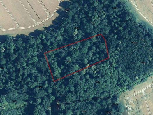 Grundstück zum Kauf 9.000 € 8.466 m² Grundstück Fasanerie 0 Brandis 04821