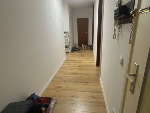 WG-Zimmer zur Miete 560 € 18 m² Geschoss 3/5 frei ab 01.09.2026 Wiesbaden Südost 65185