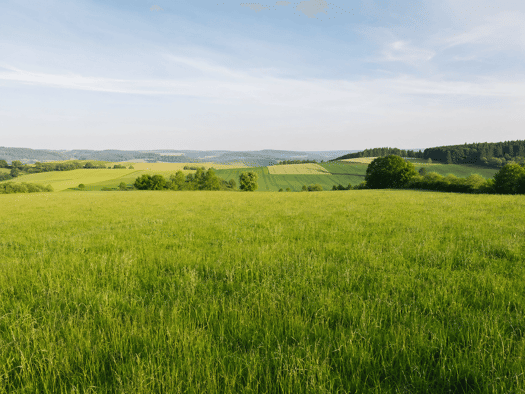 Land-/Forstwirtschaft zum Kauf 9.500 € 13.280 m² Grundstück Reichenbach Prostzella OT Zopten 07330