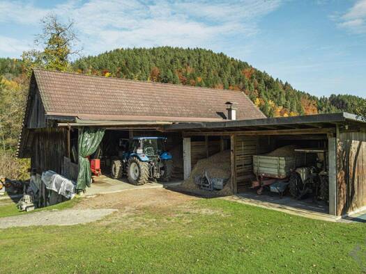 Bauernhof zum Kauf 2.590.000 € 228.262 m² Grundstück Velden 9220