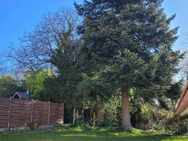 Einfamilienhaus zum Kauf 190.000 € 6 Zimmer 150 m² 535 m² Grundstück Höheinöd 66989