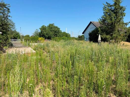 Grundstück zum Kauf 580.000 € 1.850 m² Grundstück Klein-Krotzenburg Hainburg 63512
