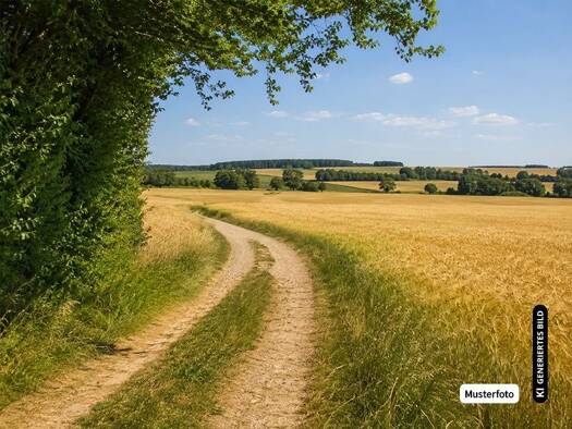 Grundstück zum Kauf provisionsfrei 125.000 € Wiedenest Bergneustadt 51702