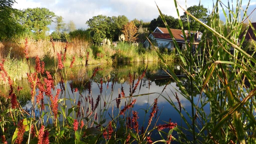 Reiterhof zum Kauf 61.660 m² Grundstück Dose Friedeburg 26446