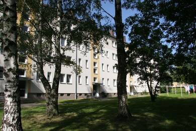 Wohnung zur Miete 294 € 2 Zimmer 49 m² 2. Geschoss frei ab sofort Altendorf 921 Chemnitz 09116
