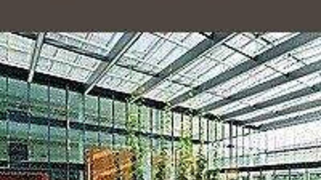 Büro zur Miete 19,90 € Wien 1200