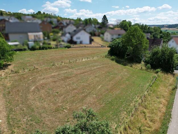 Grundstück zum Kauf 241.000 € 4.200 m² Grundstück Derenbornstraße 16 Ottbergen Höxter 37671