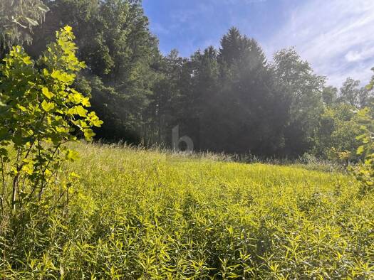 Grundstück zum Kauf 105.000 € 1.098 m² Grundstück Schärding 4782