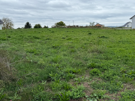 Grundstück zum Kauf provisionsfrei 304.000 € 392 m² Grundstück Sontheim Heilbronn 74081
