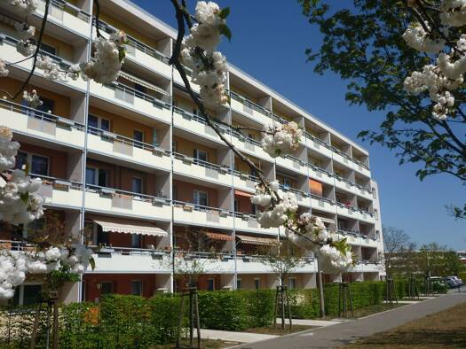 Wohnung zur Miete 425 € 4 Zimmer 65,5 m² 5 Geschosse frei ab sofort Friedrich-Loeffler-Straße 14 Frankfurt 15232