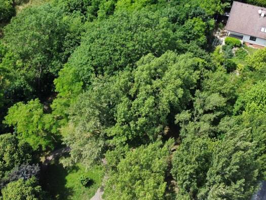Haus zum Kauf 849.000 € 4,5 Zimmer 124,2 m² 895 m² Grundstück Hinterbrühl 2371