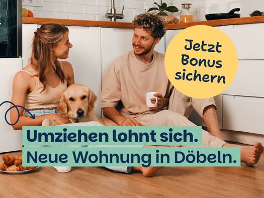 Wohnung zur Miete 249 € 2 Zimmer 47,7 m² 3. Geschoss Am Holländer 4 Döbeln Döbeln 04720