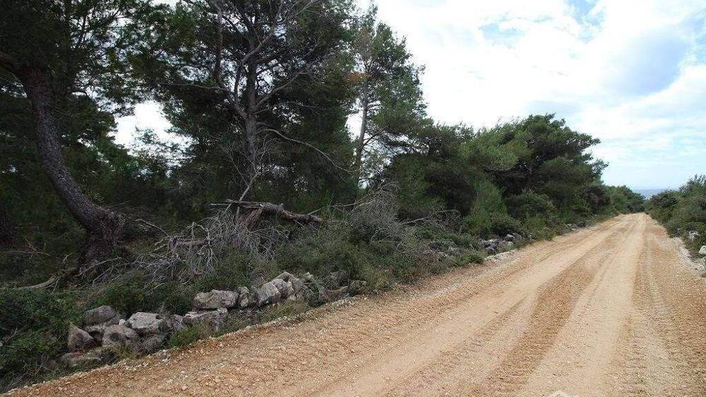 Land-/Forstwirtschaft zum Kauf 72.520 € Vir